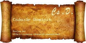 Császár Dominik névjegykártya