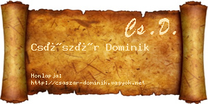 Császár Dominik névjegykártya